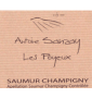 �tiquette de Domaine Antoine Sanzay - Saumur-Champigny 